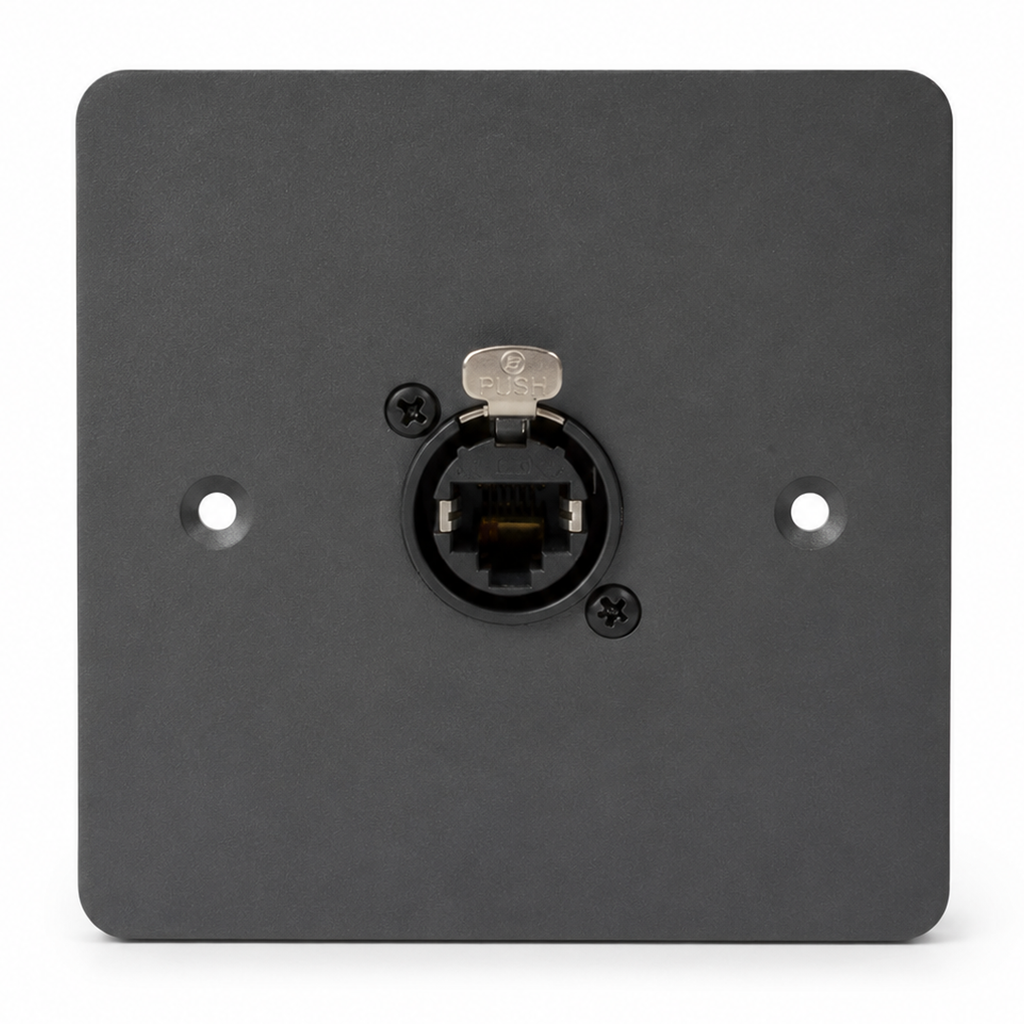 Cygnus WP2 Ethernet Wall Plate RJ45 EtherCON Seetronic Socket