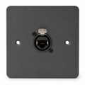 Cygnus WP2 Ethernet Wall Plate RJ45 EtherCON Seetronic Socket