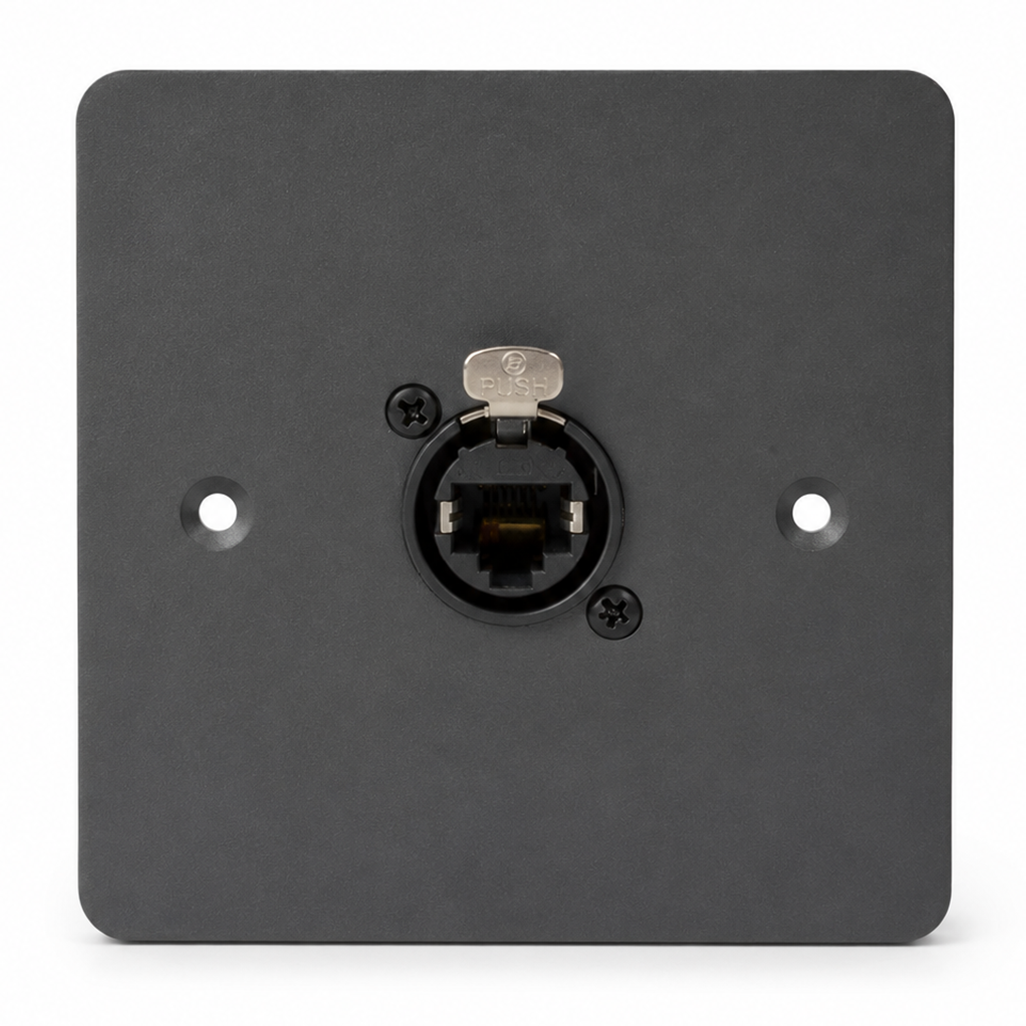 Cygnus WP2 Ethernet Wall Plate RJ45 EtherCON Seetronic Socket